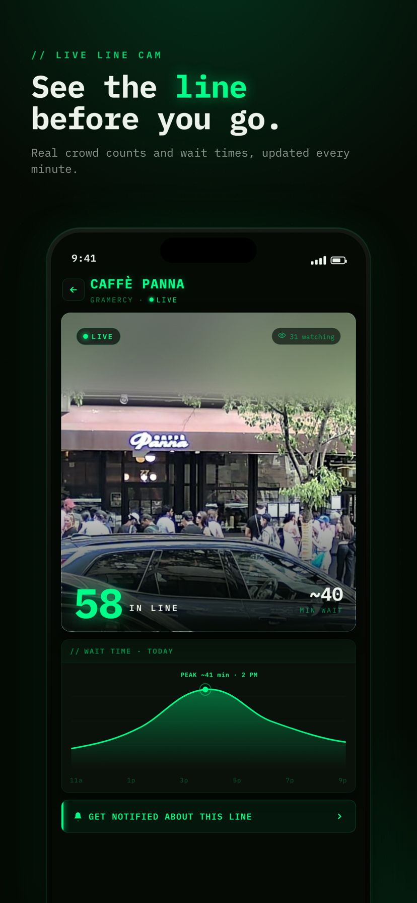 damnlines product preview